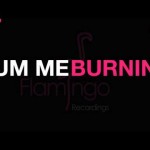 flamingo-preview